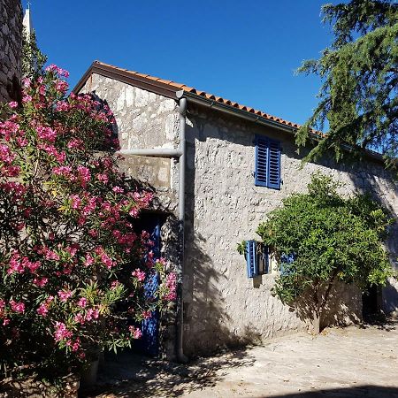 Villa The Istrian à Vrsar Extérieur photo