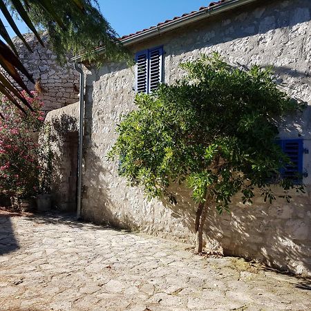 Villa The Istrian à Vrsar Extérieur photo