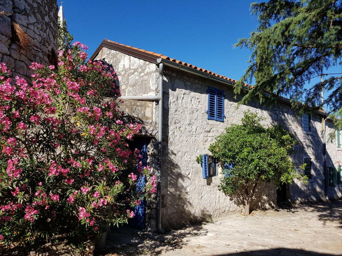 Villa The Istrian à Vrsar Extérieur photo
